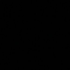 Meet your Posher, Carson